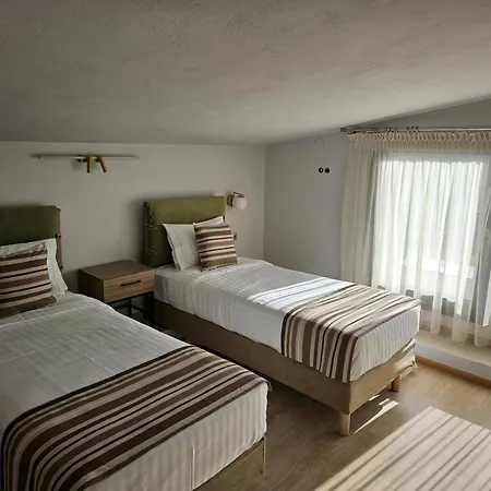 Olympus Paradise 5 Skotina