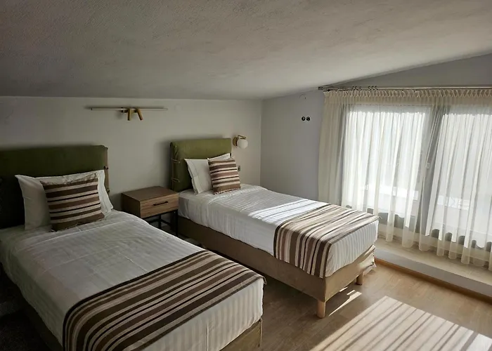 Olympus Paradise 5 Skotina